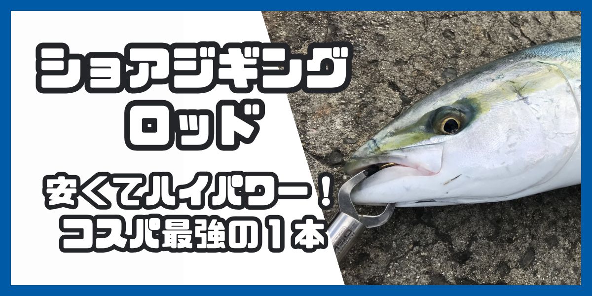 コスパ最強な安いショアジギングロッドはコレだ！飛距離とパワーを 