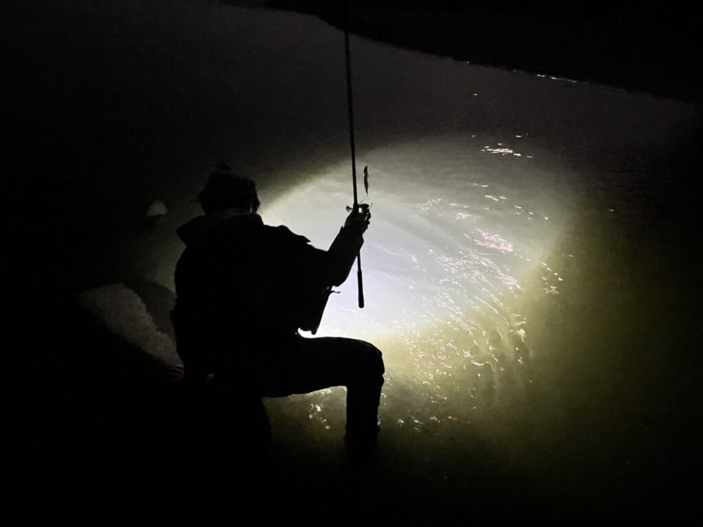 釣り用ライトを使って釣りをした時の写真