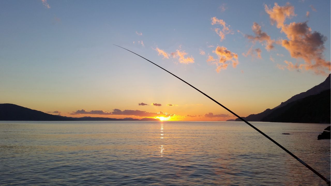 おすすめの延べ竿で釣りをした時の写真