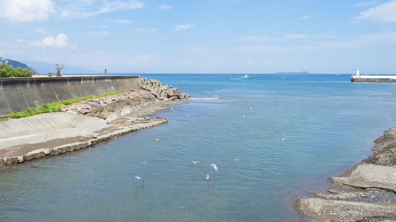 シーバスが釣れる河口