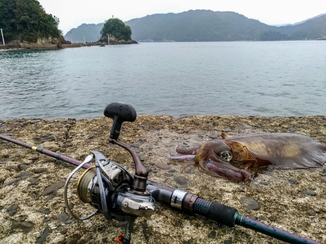 コスパ最強のエギングロッド