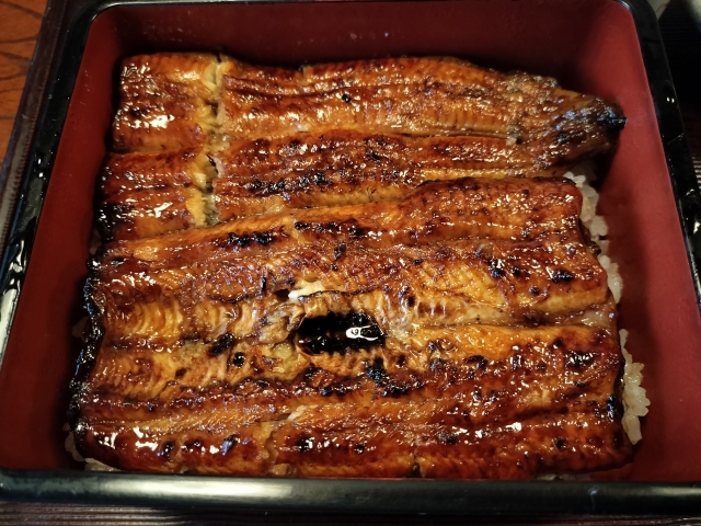 釣ったウナギで作ったうな重