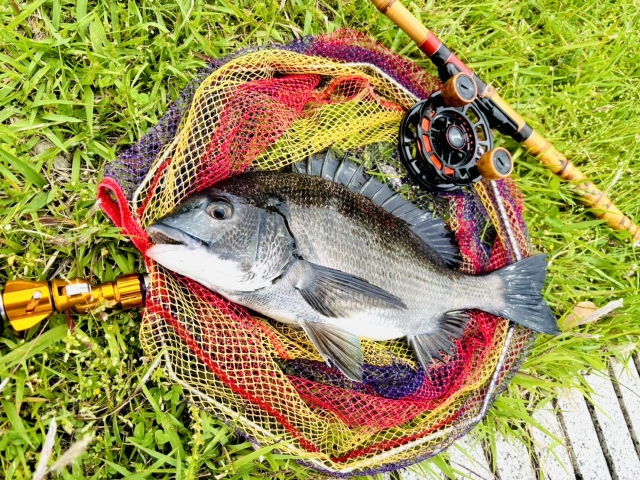 激安】5mのタモ網おすすめ8選！堤防・磯釣りで活躍する長さの 