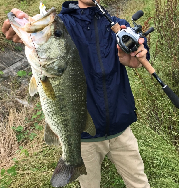 琵琶湖で釣った50cmのバス