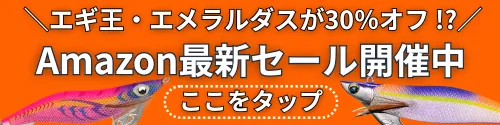 エギの最新セール情報